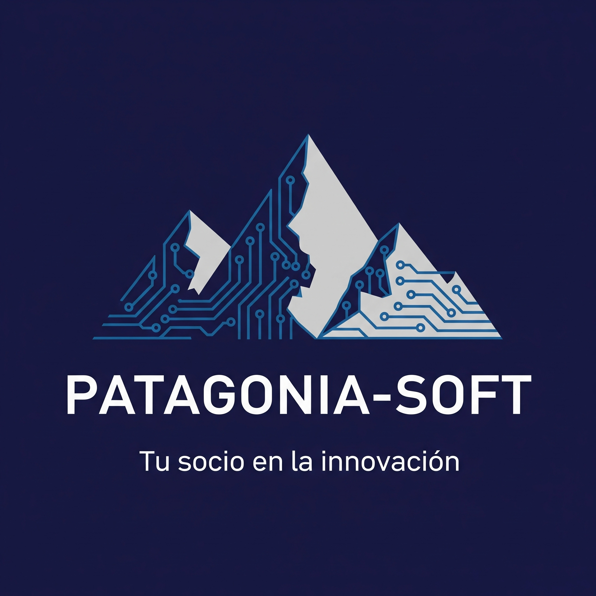 Patagonia-Soft Logo